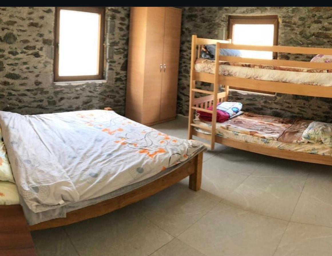 Sylbica * Polisi i Vogel
