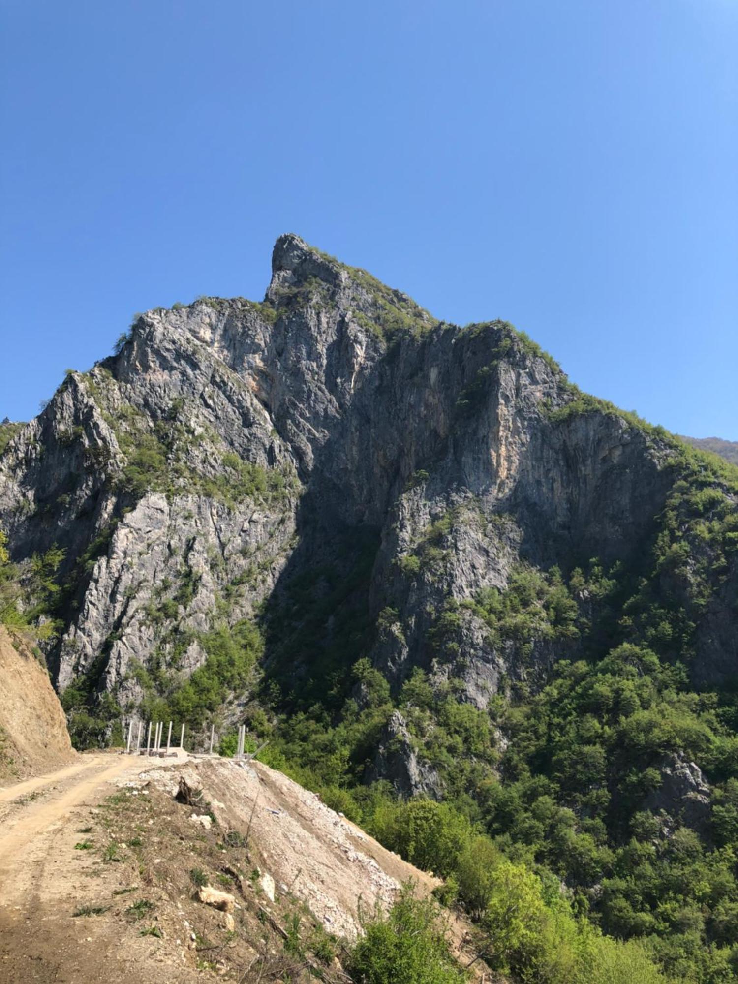 Sylbica Polisi i Vogel